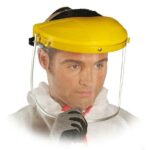 SMART-Schutzschild