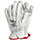 Vollleder Handschuhe